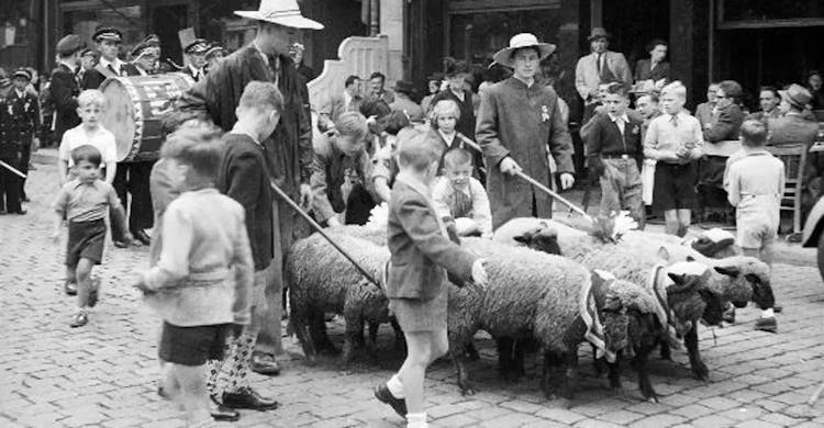 Sheep procession, Schueberfouer, Luxembourg, past