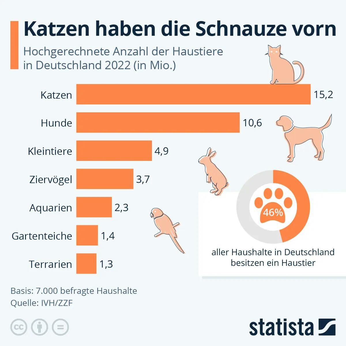 infographics, cats, dogs, birds, rabbits, Germany