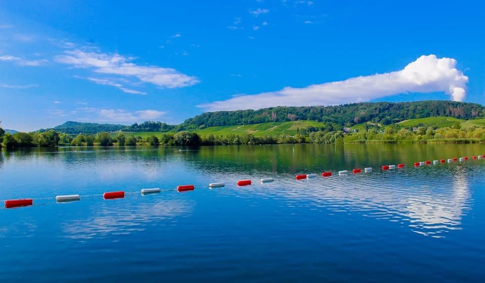 "International Open Water Meeting"
