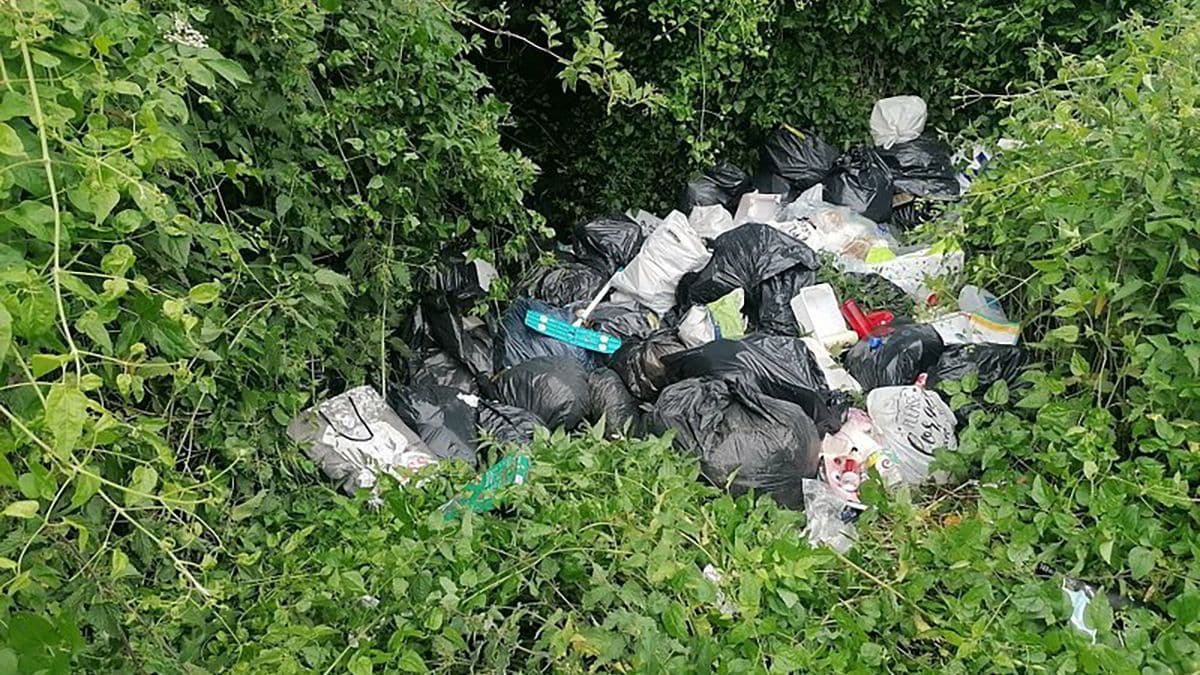 «Мусорное дело»: откуда взялась свалка на границе с Люксембургом