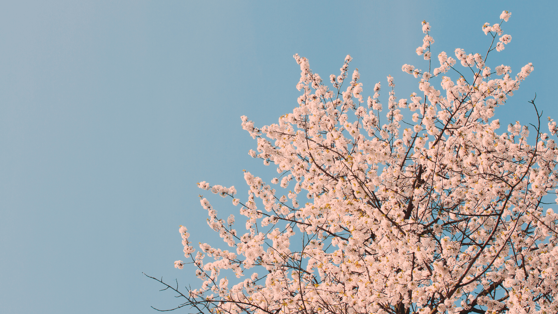 Luxembourg weekend of April 21-23: Concerts de Midi opening, poetry and art festivals