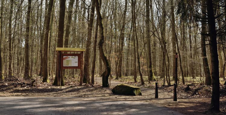 Cessange_cimetière_forestier_entrée.jpg