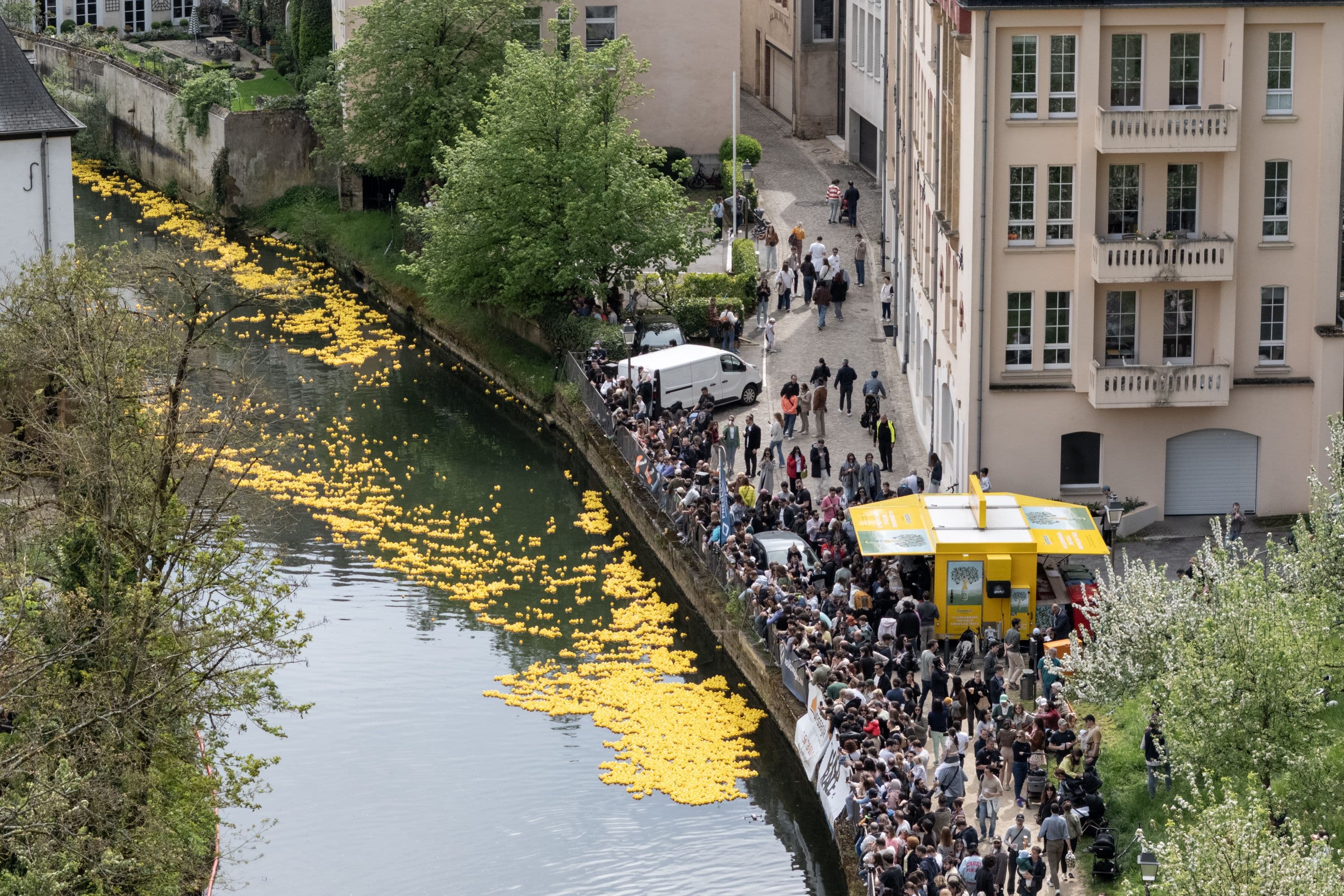 Duck race Luxembourg