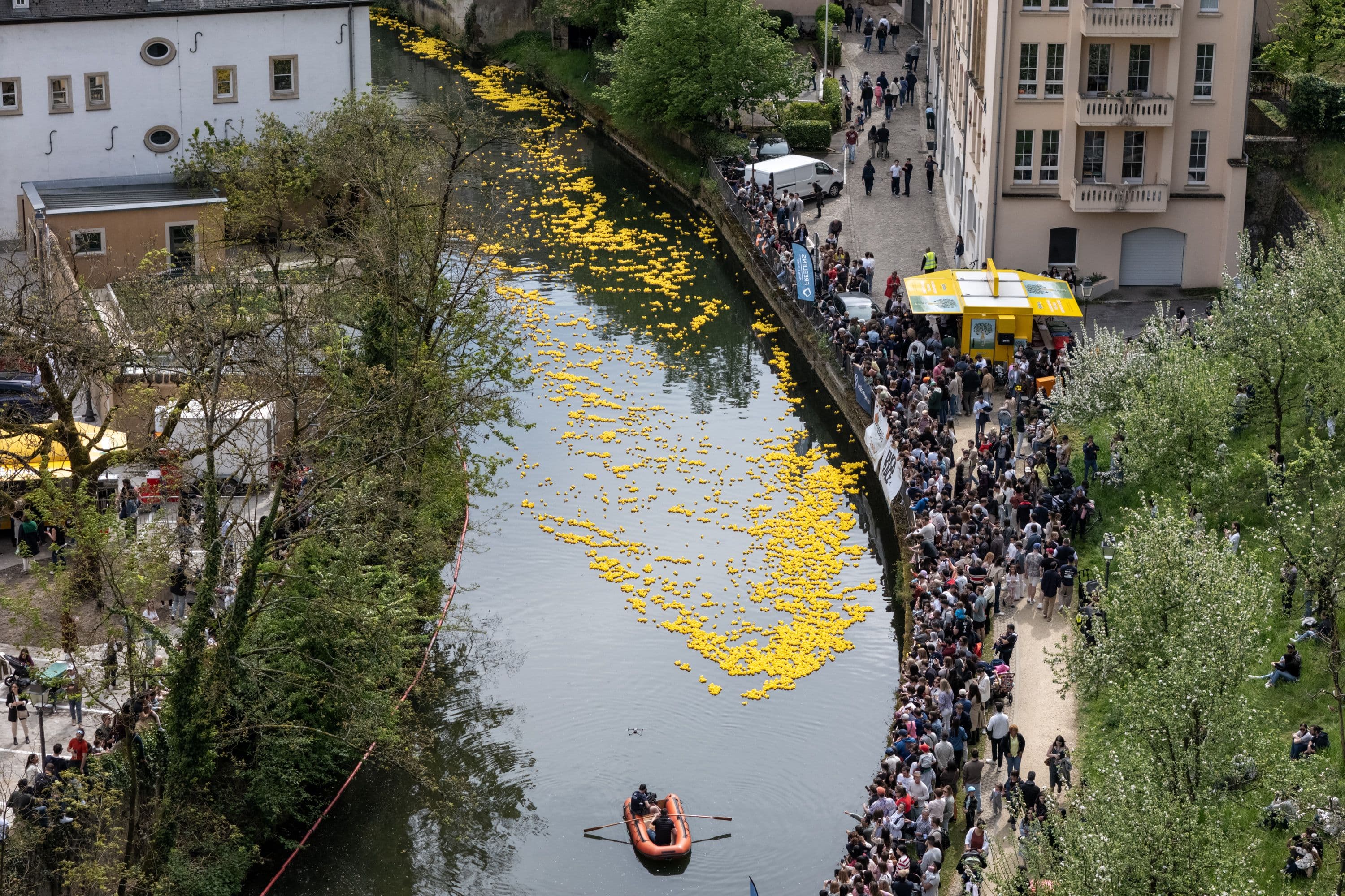 Duck race Luxembourg