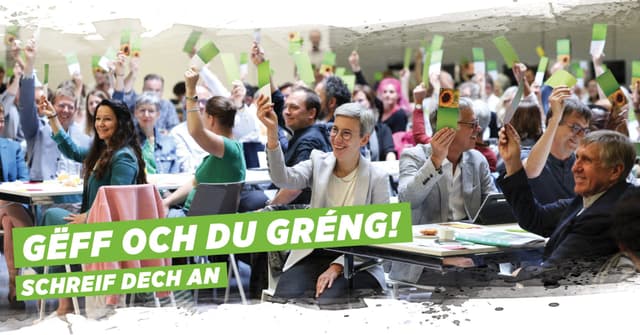 Green Party in Luxembourg — Déi Gréng (DG)