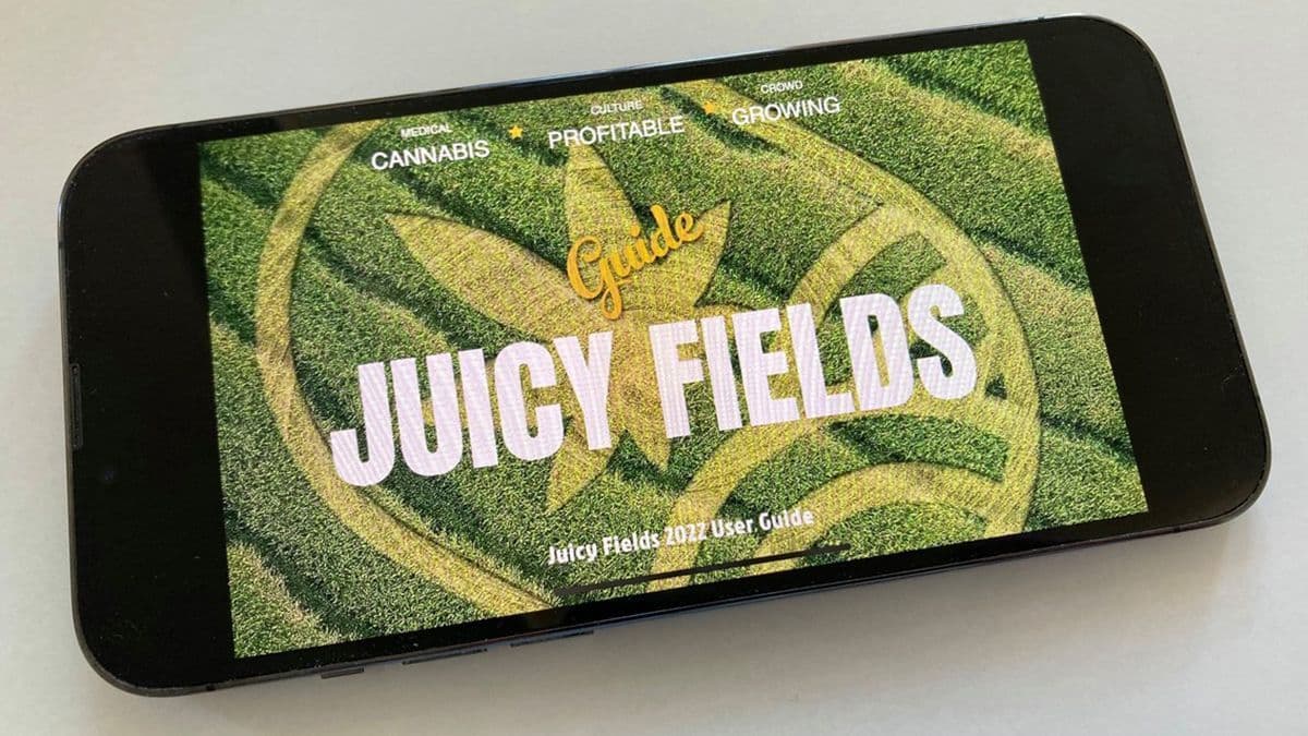 Дело Juicy Fields. Как пострадали инвесторы Люксембурга