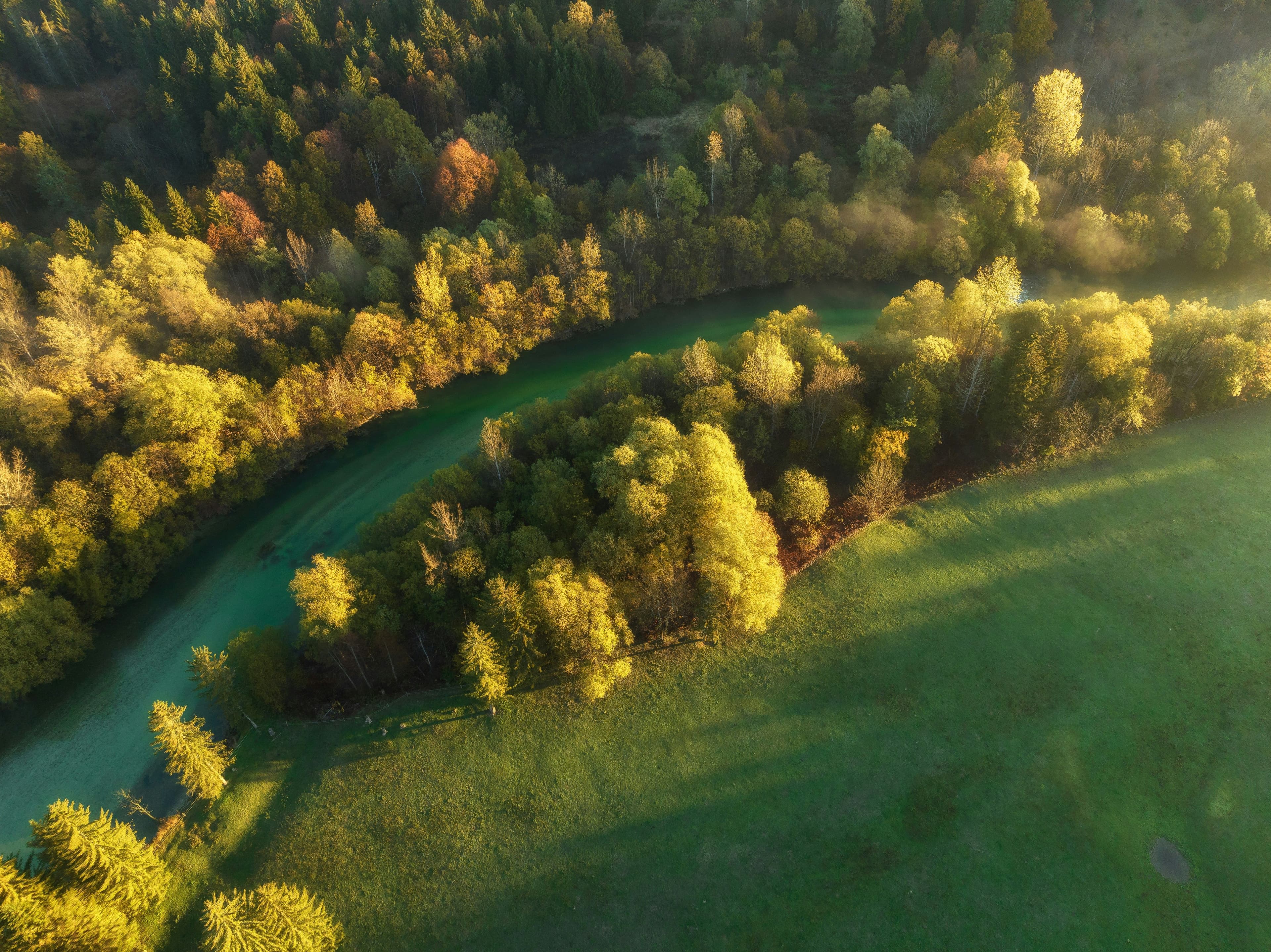 Pollution of Luxembourg rivers