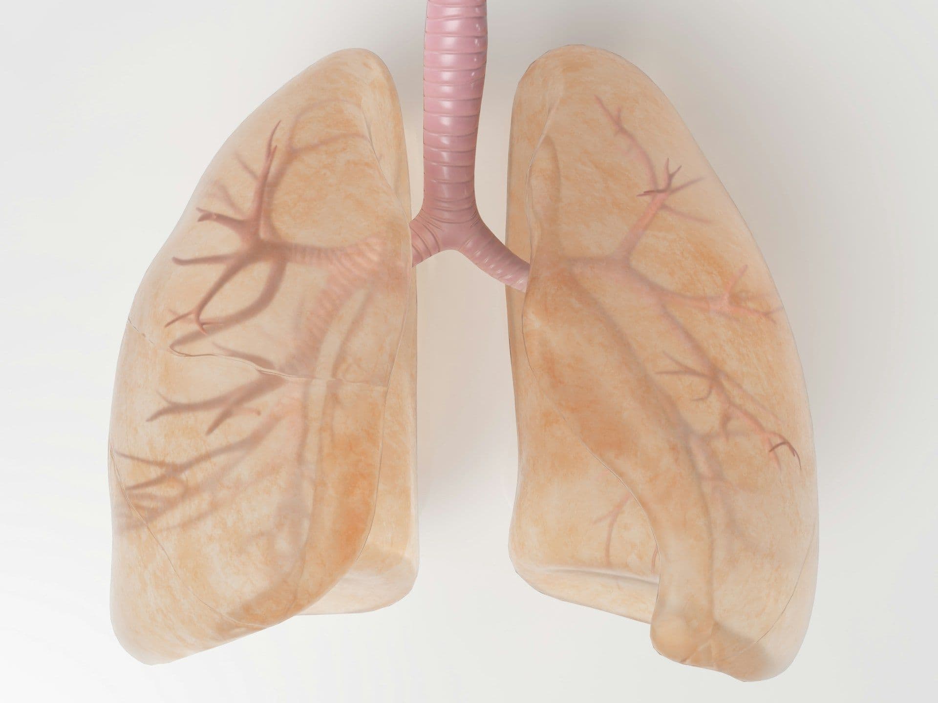 tuberculosis in Luxembourg