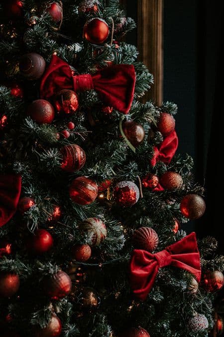 How to properly get rid of a Christmas tree after holidays