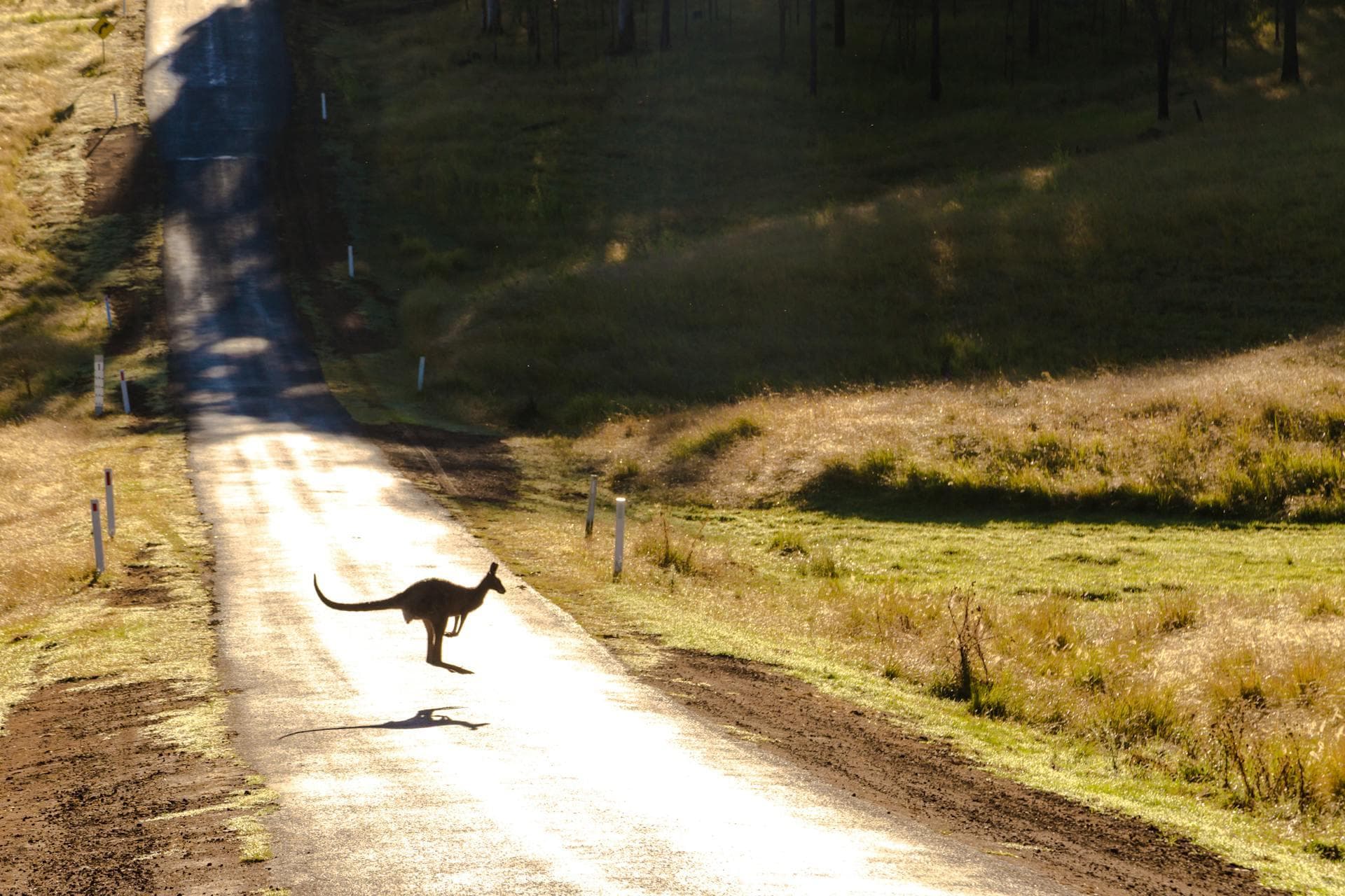 Australie