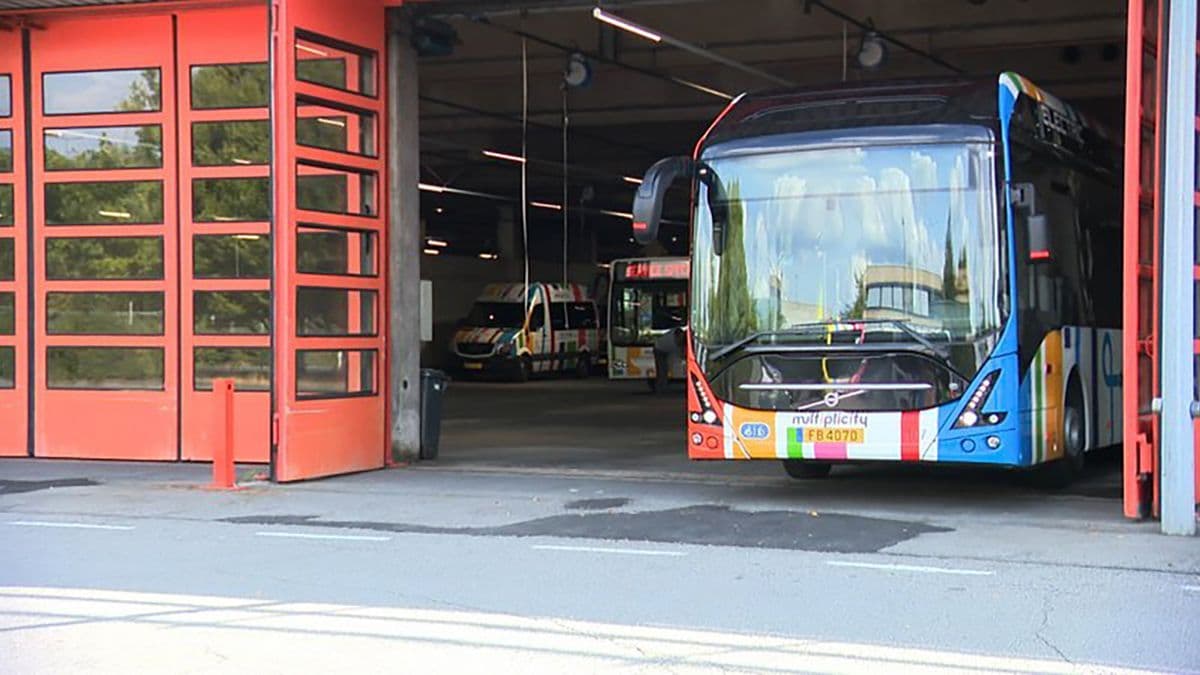 К 2030 году автобусный парк Люксембурга будет состоять только из электробусов