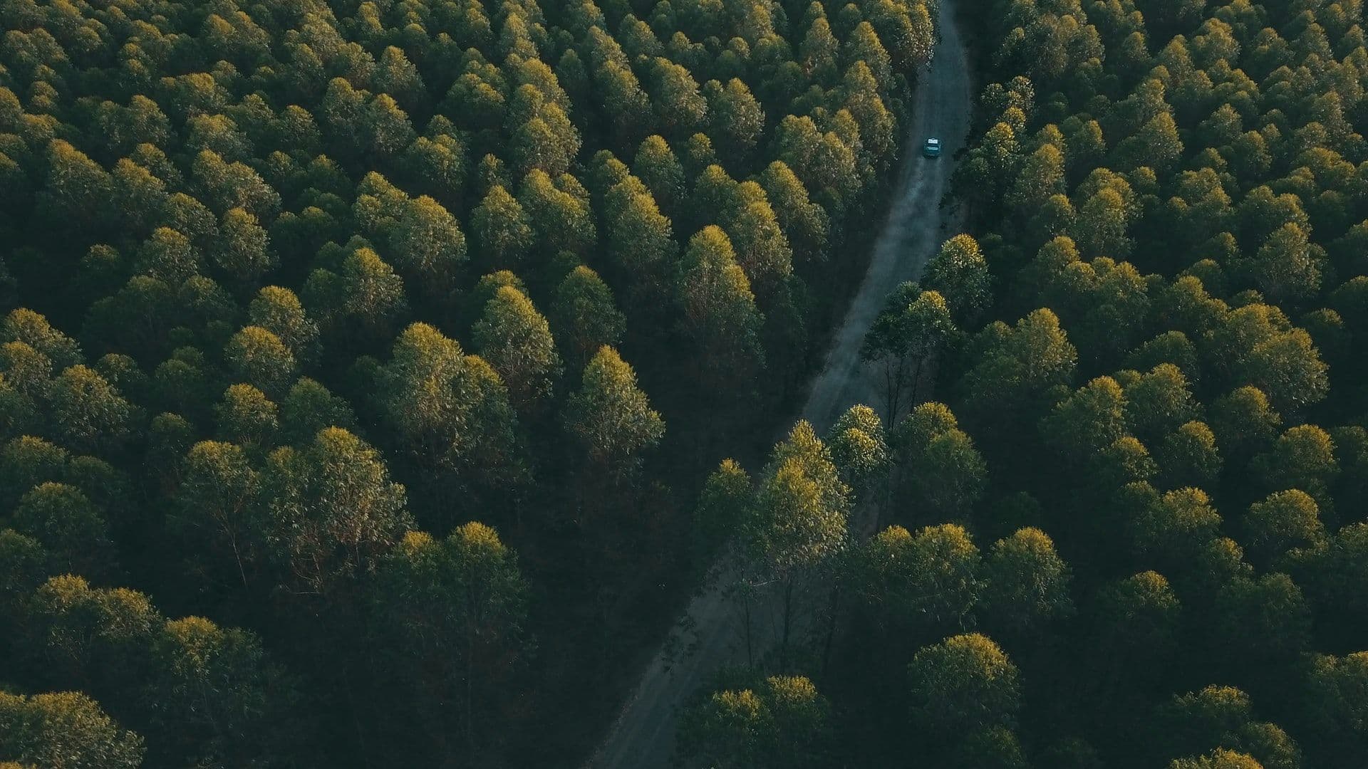 Parks of Luxembourg offer picturesque nature rides for electric cars