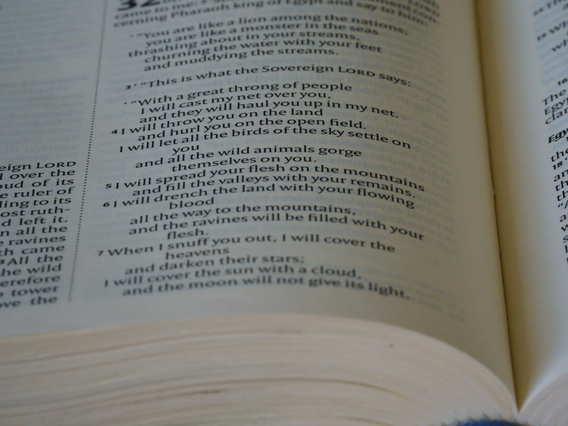 Language studying in EU and Luxembourg