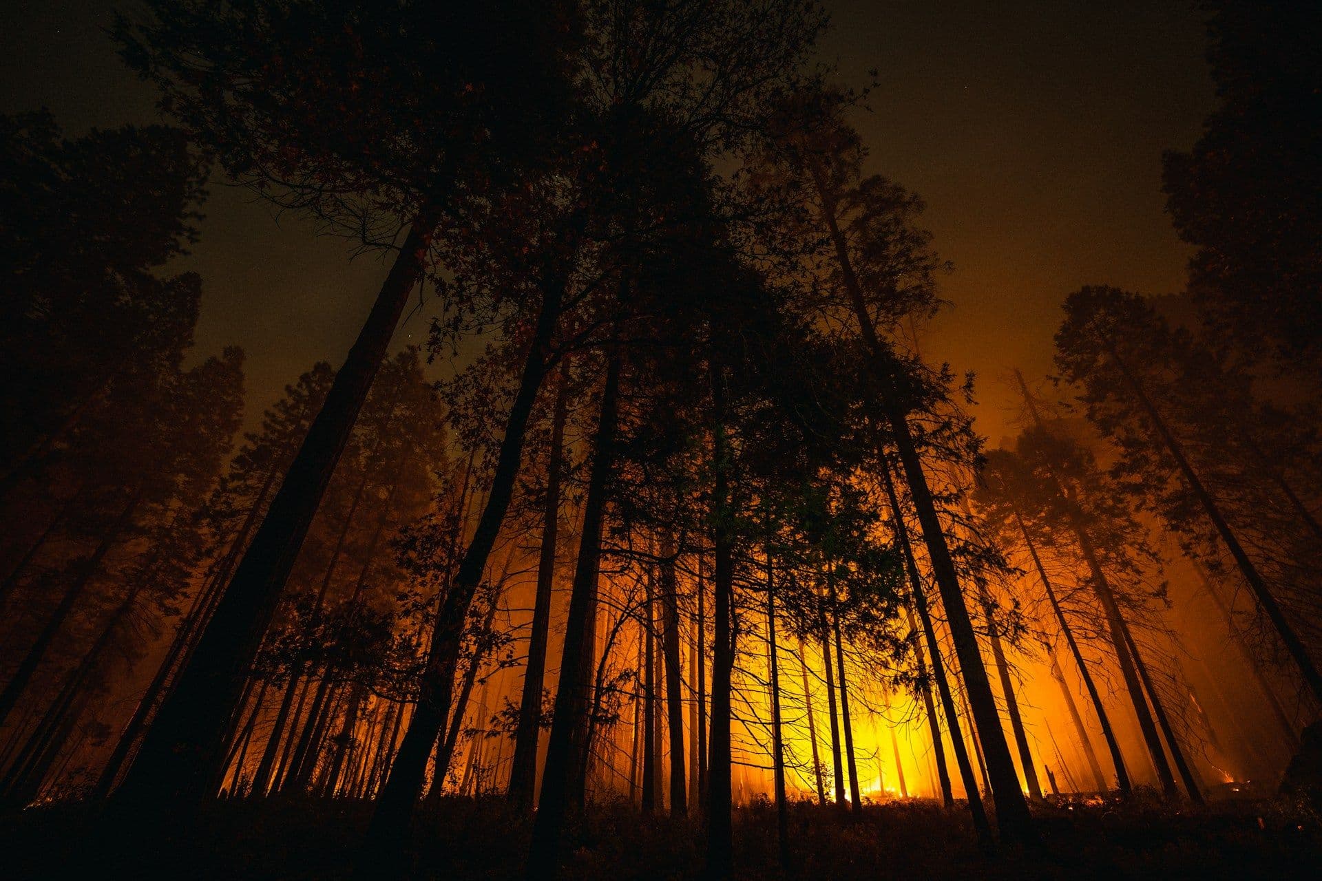 Wildfire in Japan