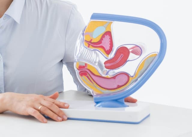 Women's health: how to get an appointment with gynecologist in Luxembourg