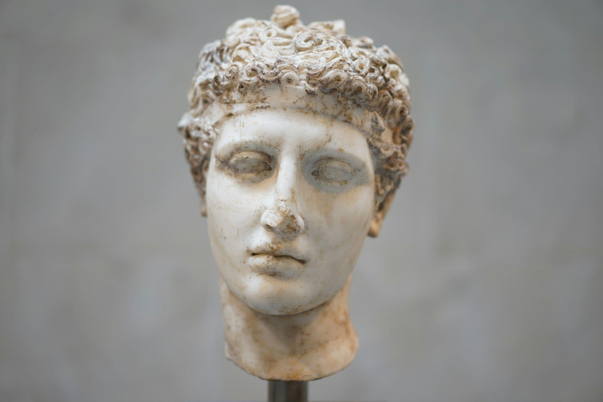 Bust