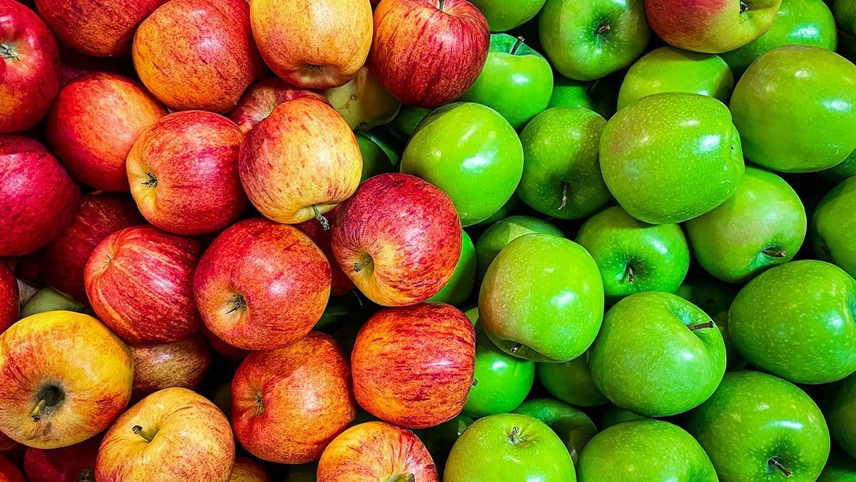 Apple season in Grevenmacher. When to collect free fruit