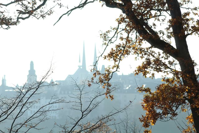 Beggen : un sanctuaire vert près du centre de la ville de Luxembourg