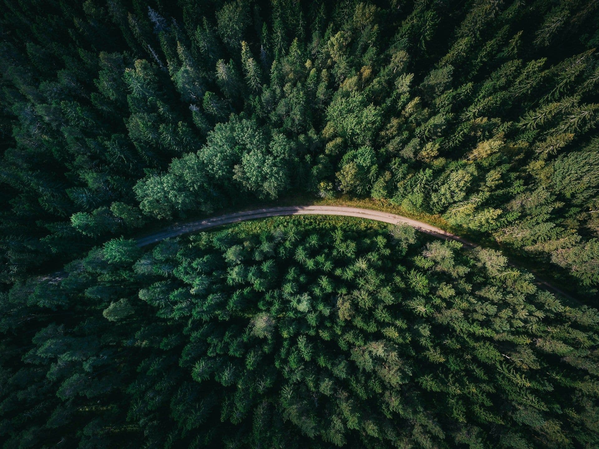 Forests of Luxembourg