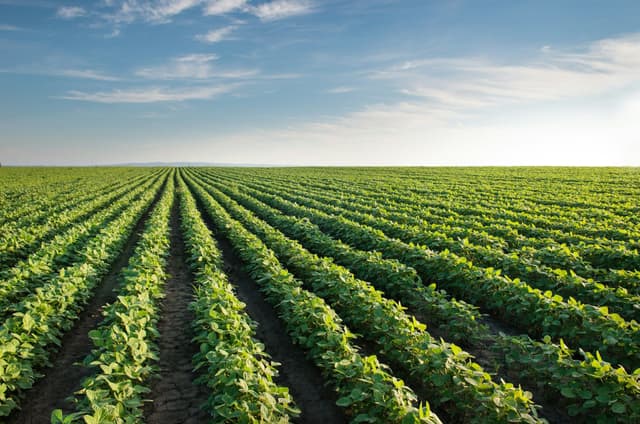 Urban farms and agritech: examples of urban agriculture in Luxembourg