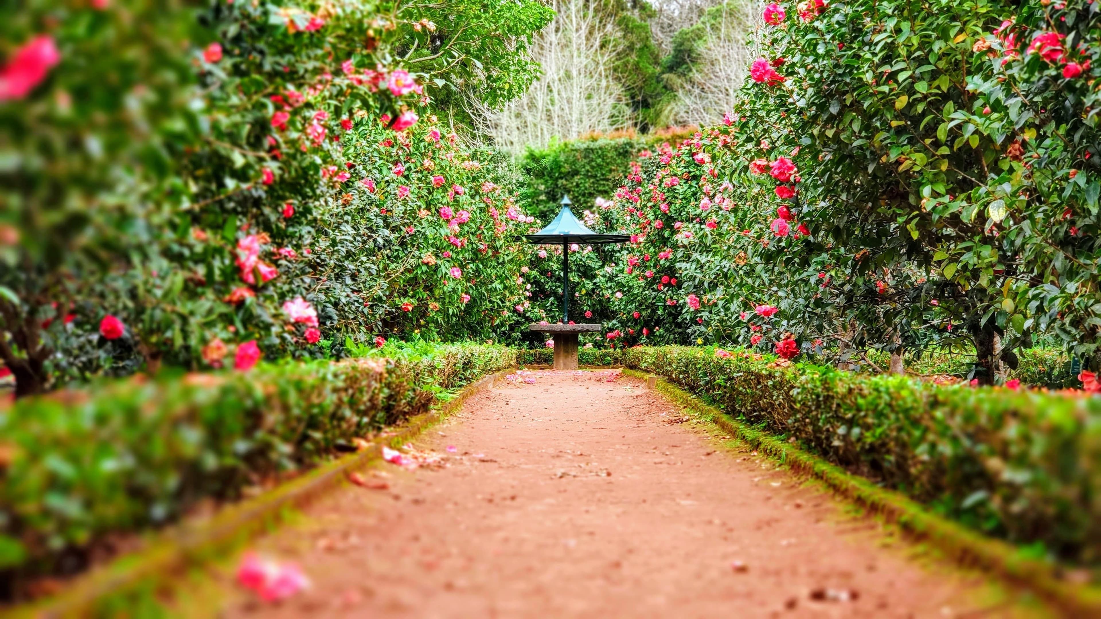 «Rendez-vous aux jardins» will be back this June