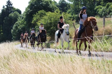 Horse Clubs And Horse Riding in Luxembourg: Lessons, Stables, More
