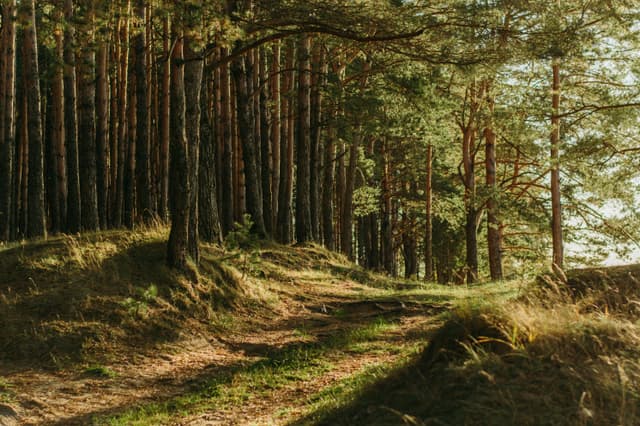 Luxembourg's nature and outdoor places to explore