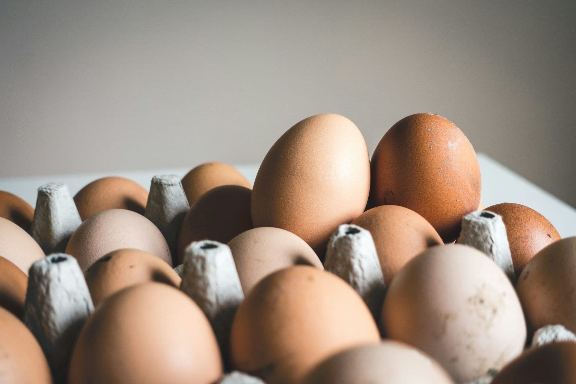 Chicken eggs in Luxembourg
