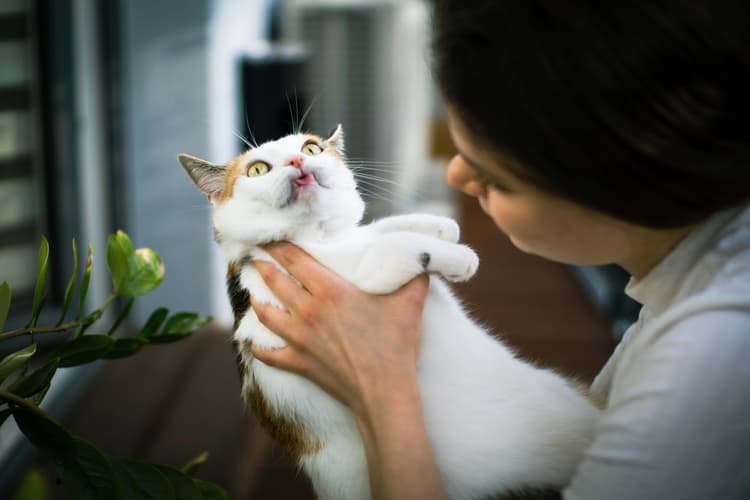 How to make an appointment with a veterinarian in Luxembourg