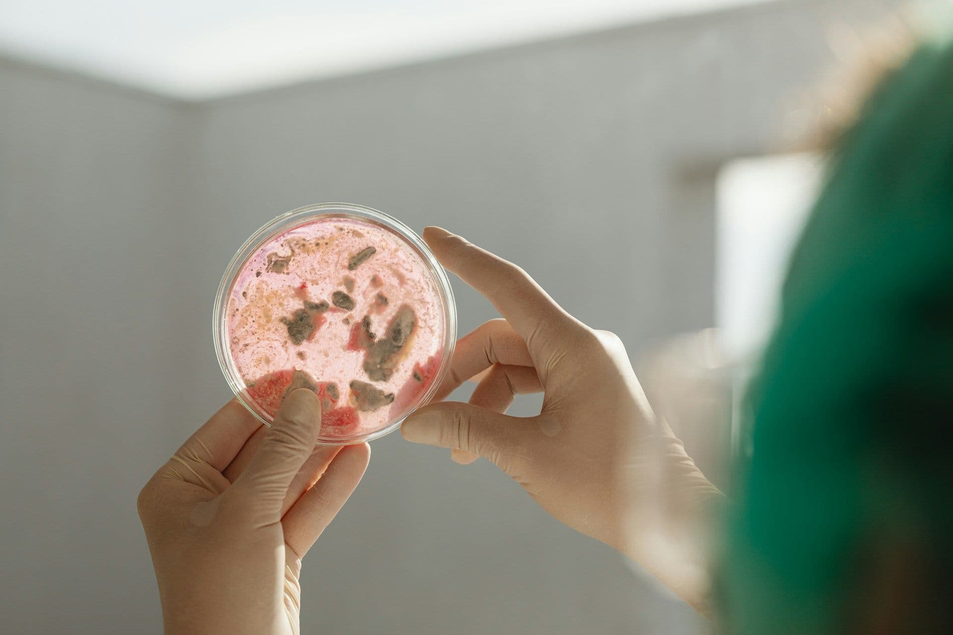 Antibiotics in Luxembourg