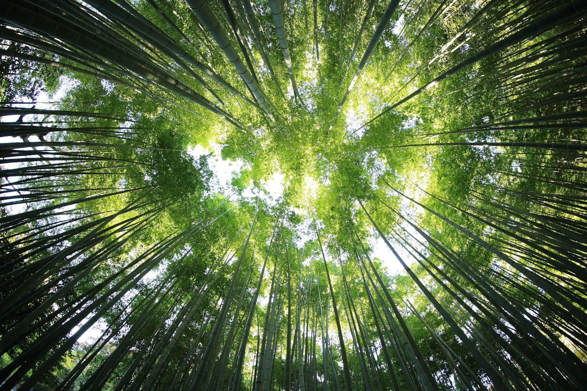 Ecology investment in EU