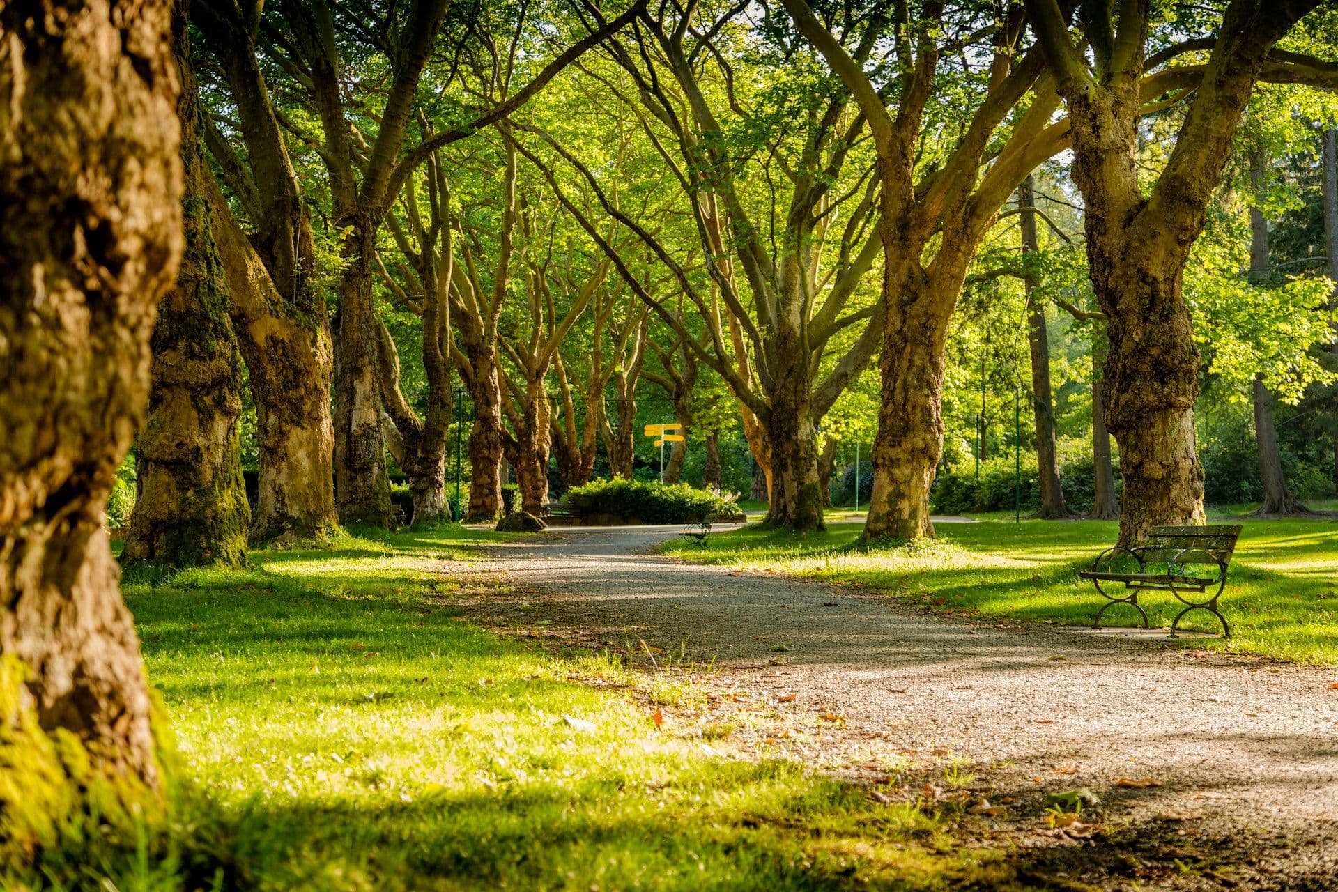 Parc Merveilleux in Luxembourg