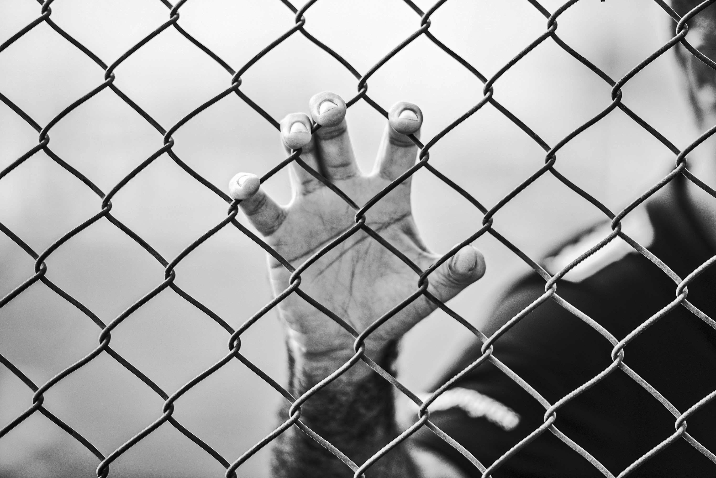Тюрьмы Бельгии предлагают удалёнку