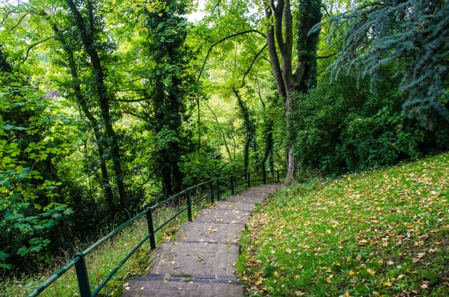Merl : un arrondissement captivant dans la ville de Luxembourg