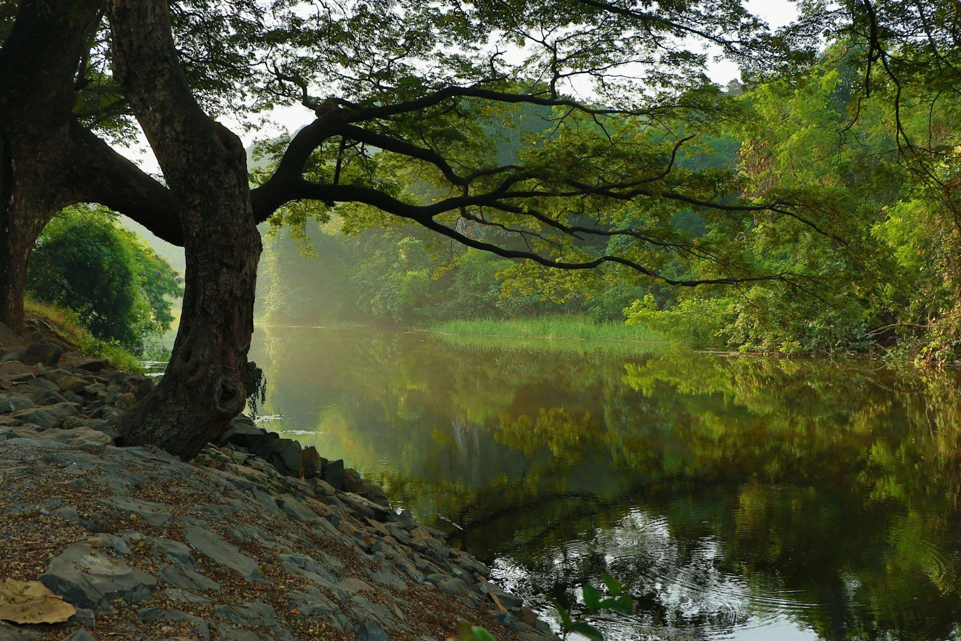 Petrusse river in Luxembourg