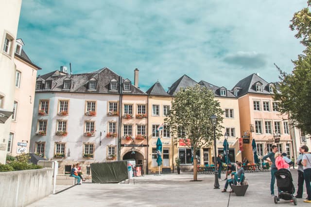 Work as a residence permit condition in Luxembourg: regular visa or Blue Card