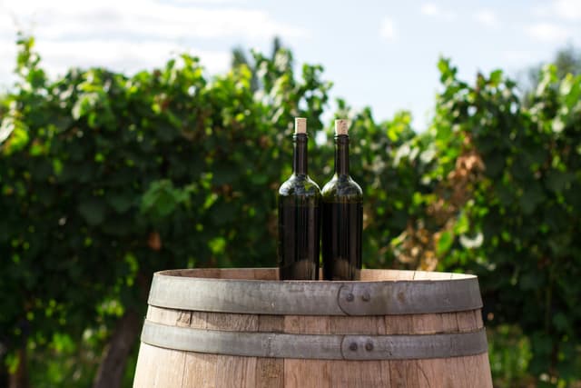 Wine bars in Luxembourg: where to find the best wine in the city