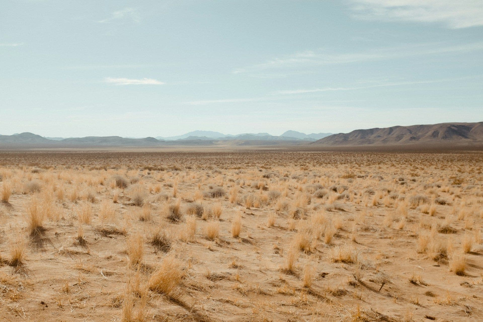Drought