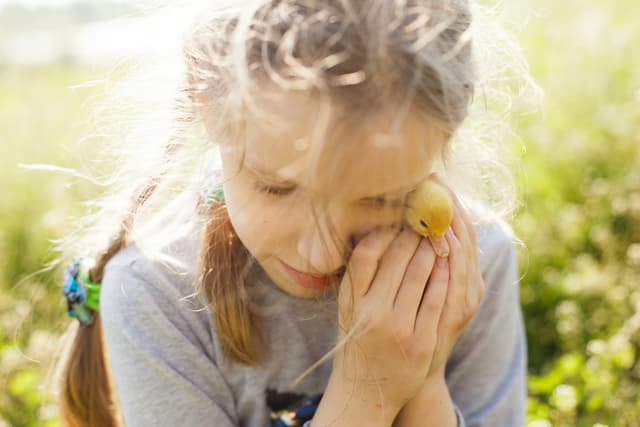 How to get a temporary autorisation to stay for a child when moving to Luxembourg
