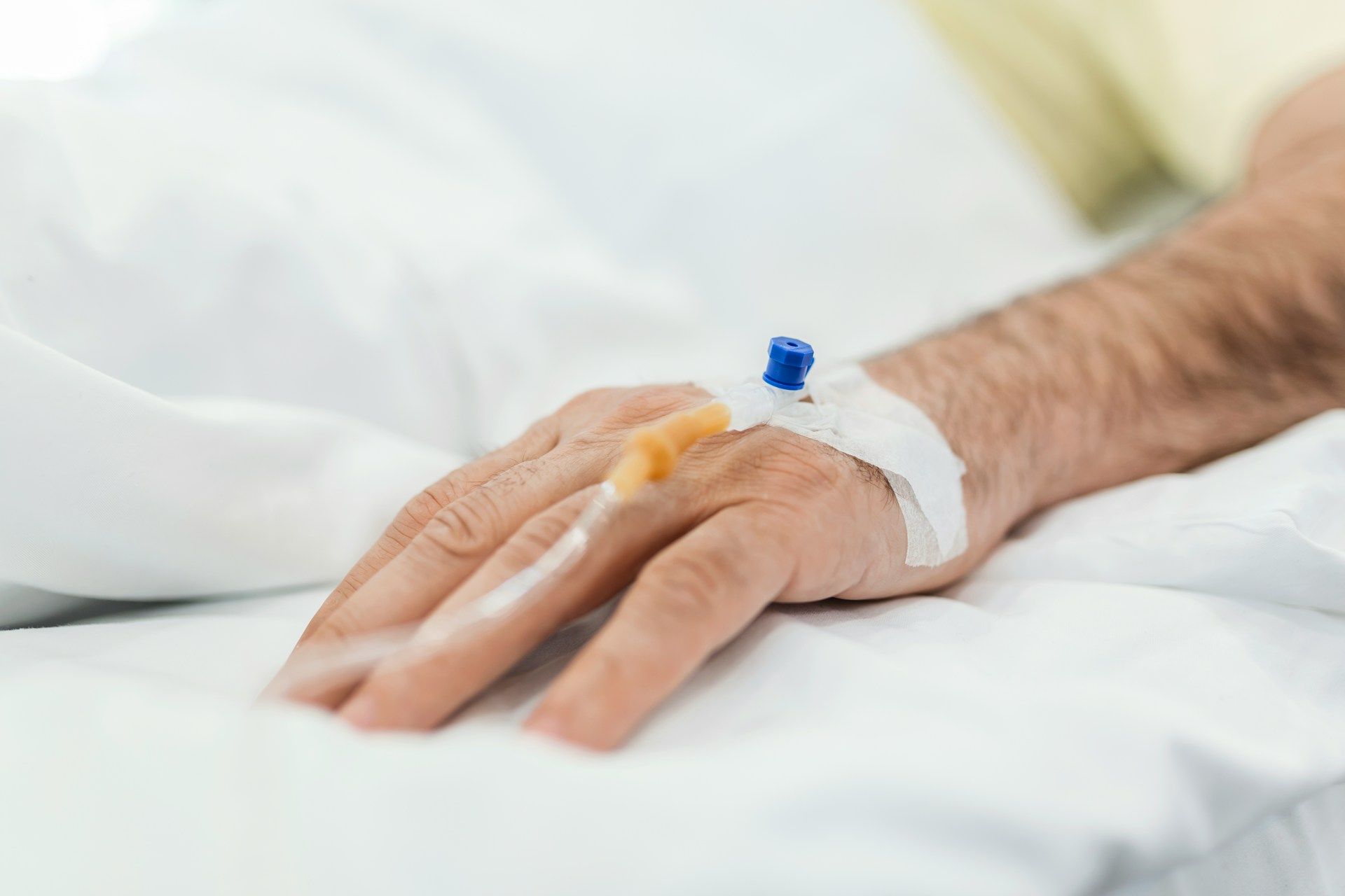 Experts are concerned that the issues surrounding euthanasia are being ignored