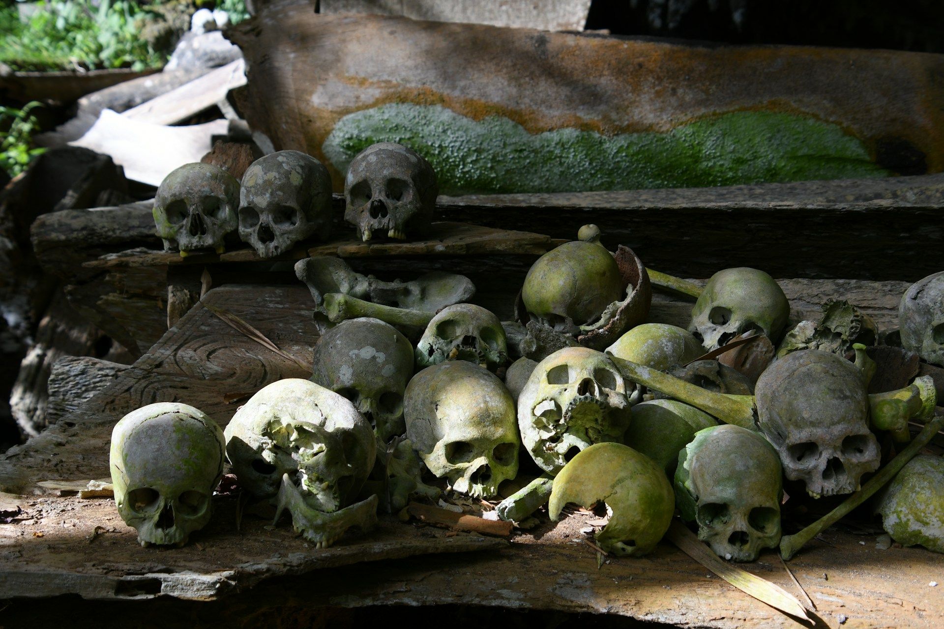 More than 150 human skeletons have been found in Vianden