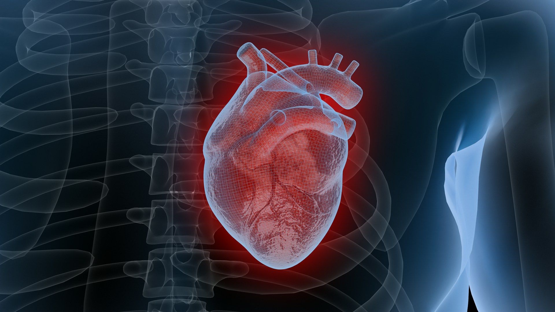 Luxembourg sets the standard in cardiology