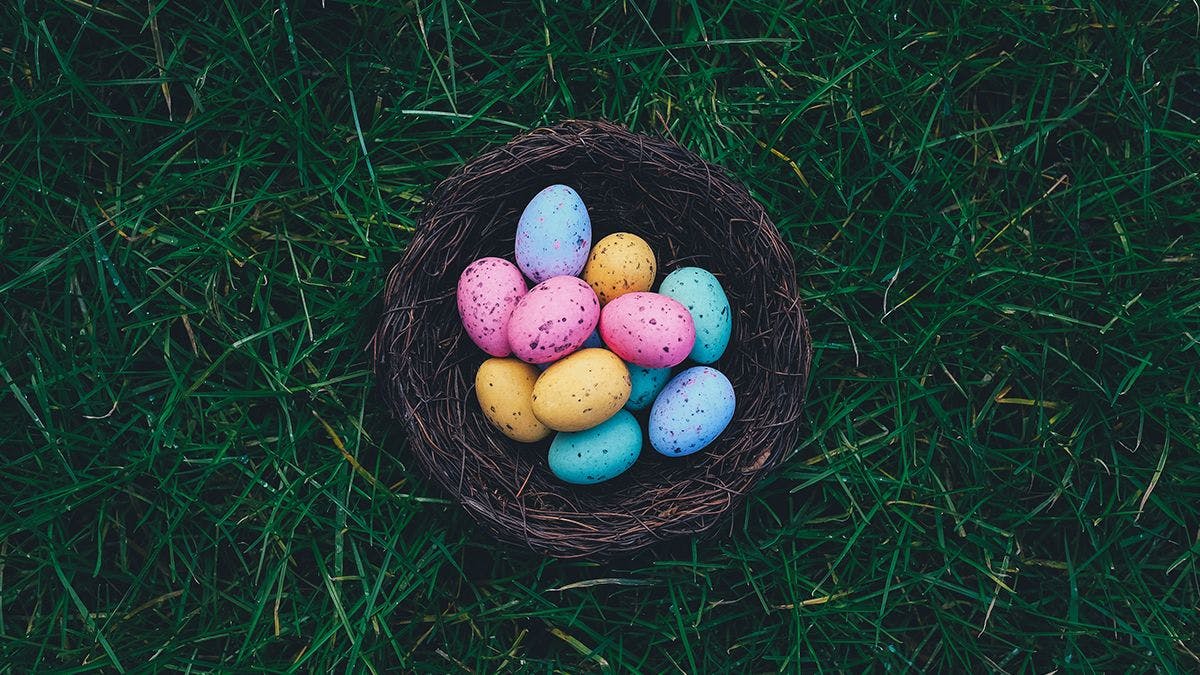 Luxembourg events calendar for April 7-10: birds, alive and ceramic, eggs, and Easter