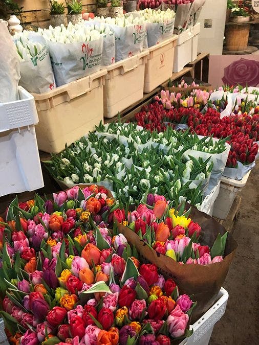 Лучшие цветочные магазины Люксембурга