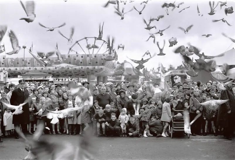 Pigeons, kids, 1960, Luxembourg, old photo, retro, photography, street, Schueberfouer 
