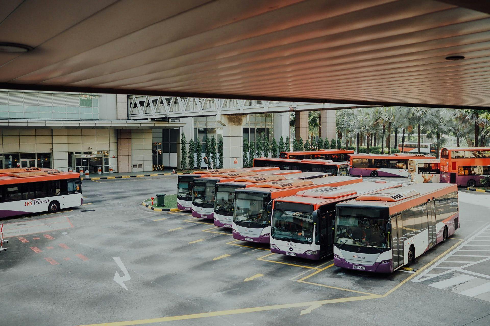 Электробусы будут ходить по 77 маршрутам RGTR вместо автобусов. Стоимость обновления — 35 миллионов евро