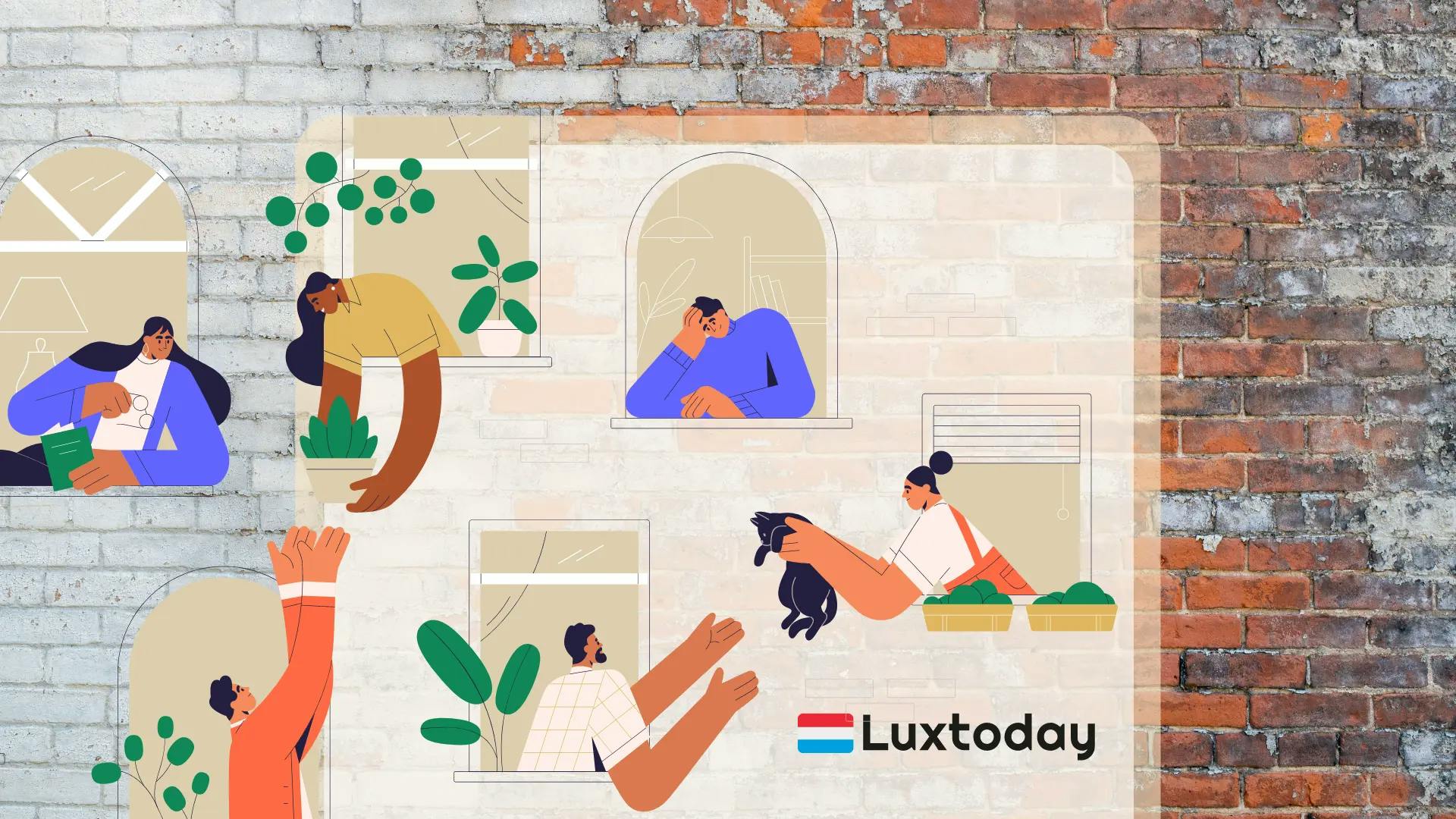 Новое превью новостей: блог компании Luxtoday