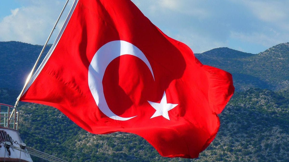 Ассельборн сравнил политику Эрдогана с турецким базаром