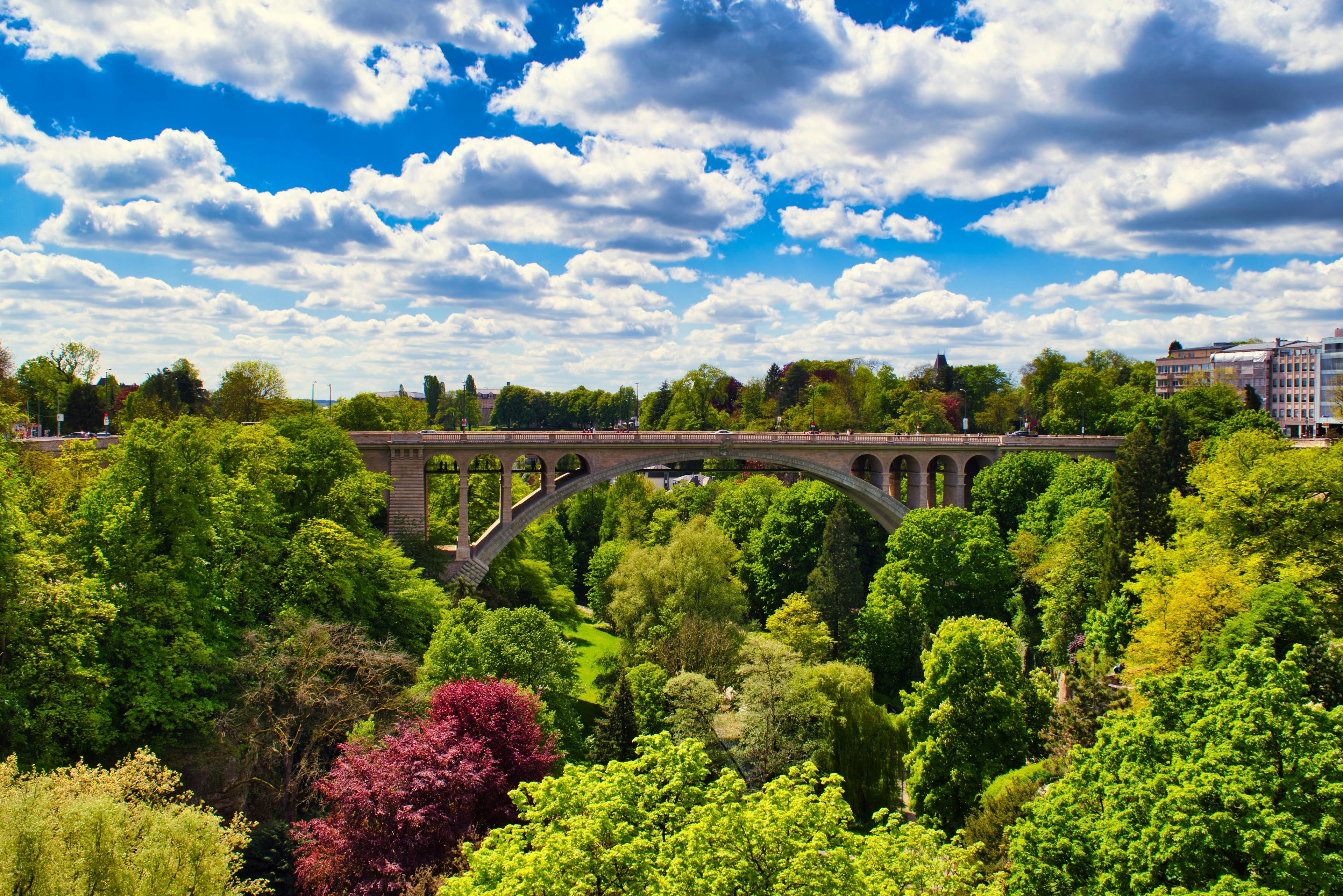 Люксембург, мост, деревья, зелень