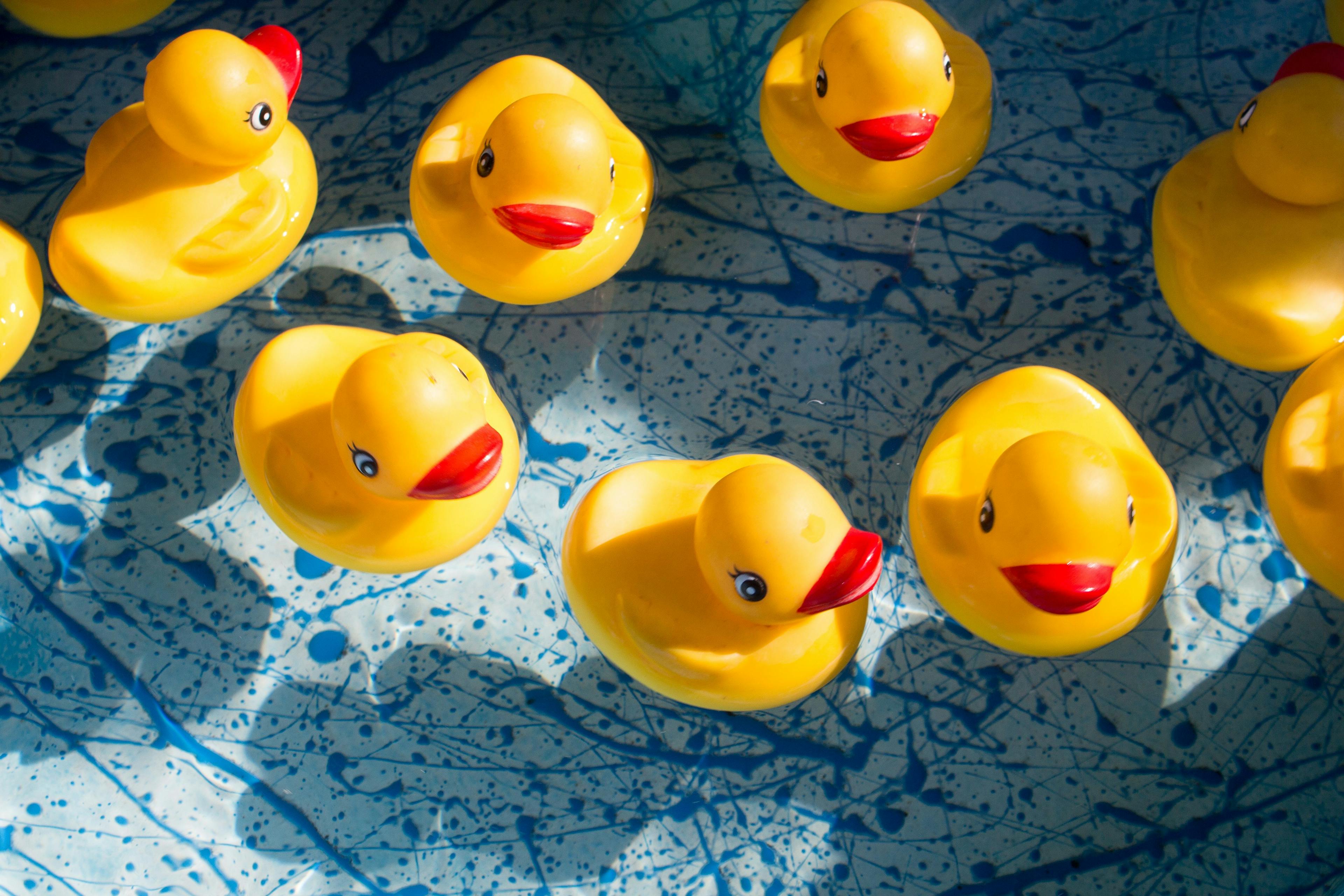 Luxembourg events programme for April 28-30: duck race, 